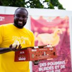 L’élevage de poussins : une aventure humaine